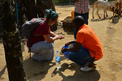 DSC_4881 (Large).JPG